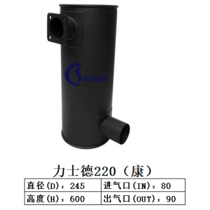 力士德220（康）